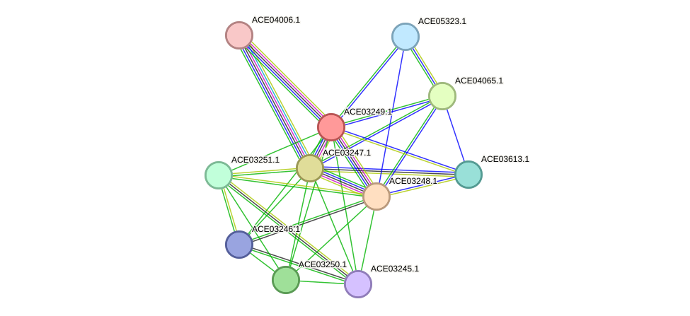 STRING protein interaction network