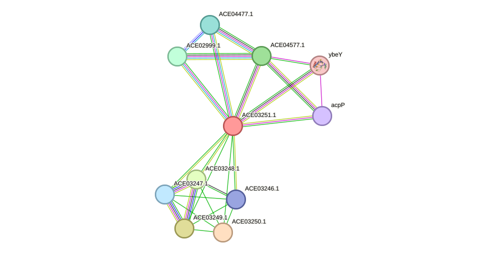 STRING protein interaction network