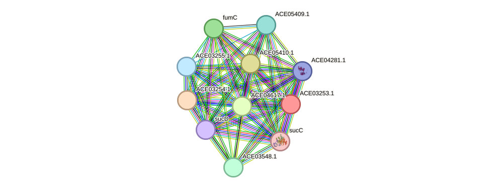 STRING protein interaction network