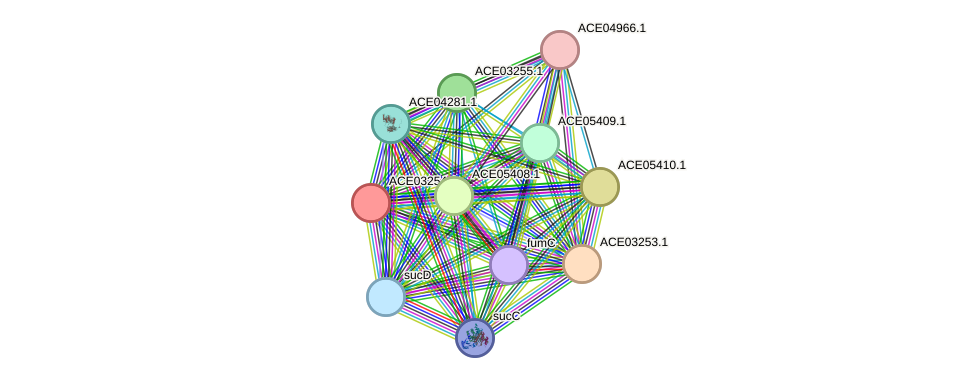 STRING protein interaction network