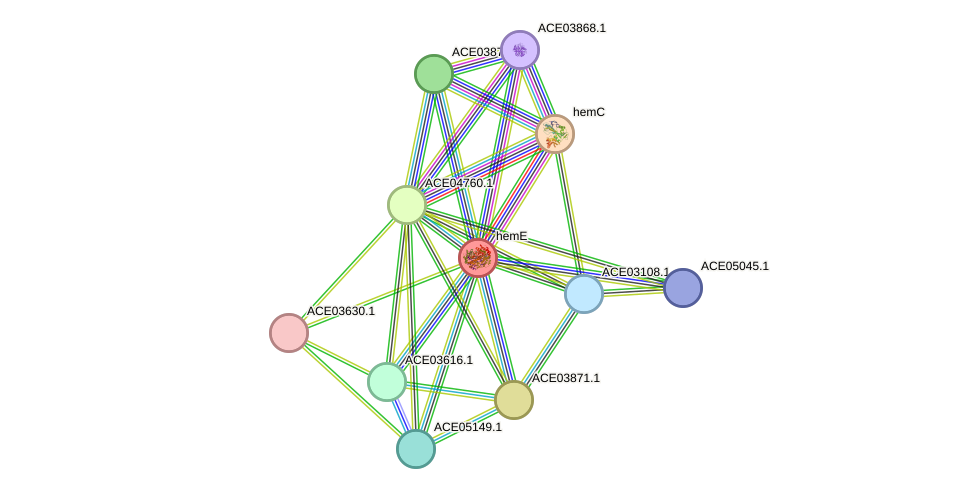 STRING protein interaction network