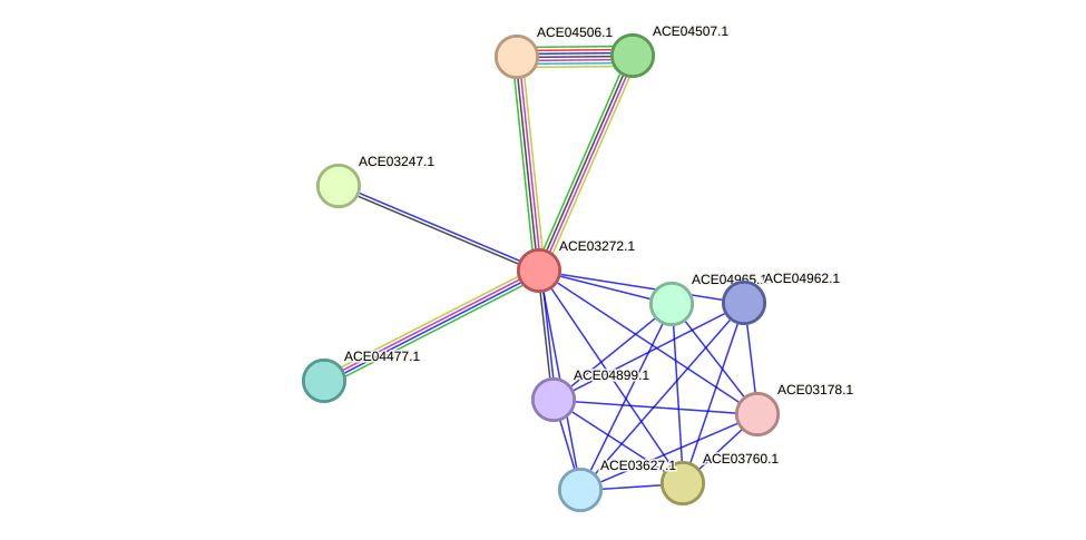 STRING protein interaction network