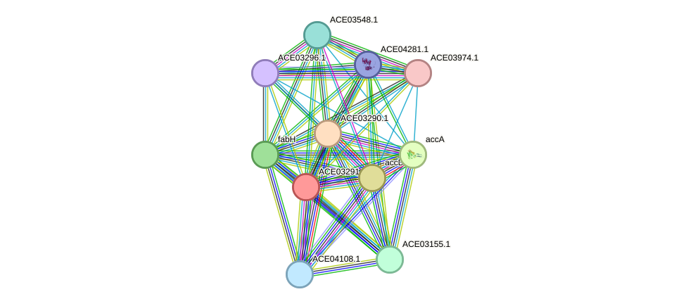 STRING protein interaction network