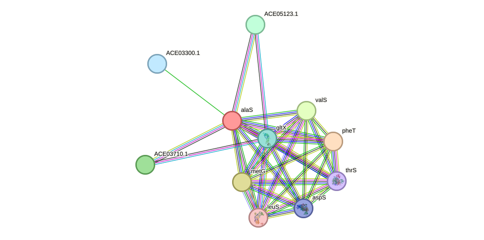 STRING protein interaction network