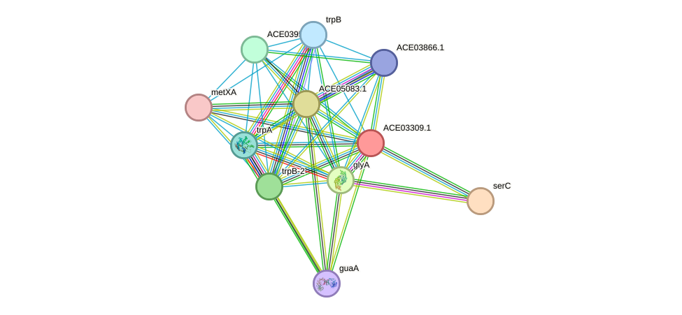 STRING protein interaction network