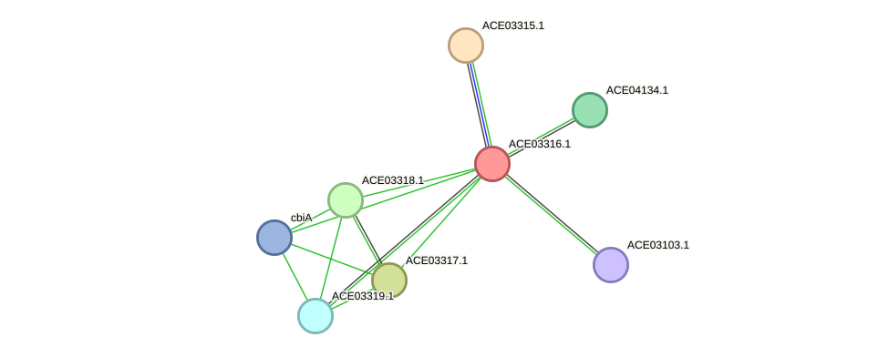STRING protein interaction network