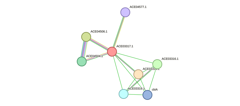 STRING protein interaction network