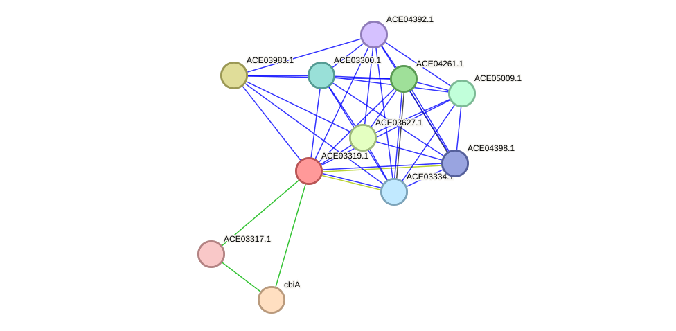 STRING protein interaction network