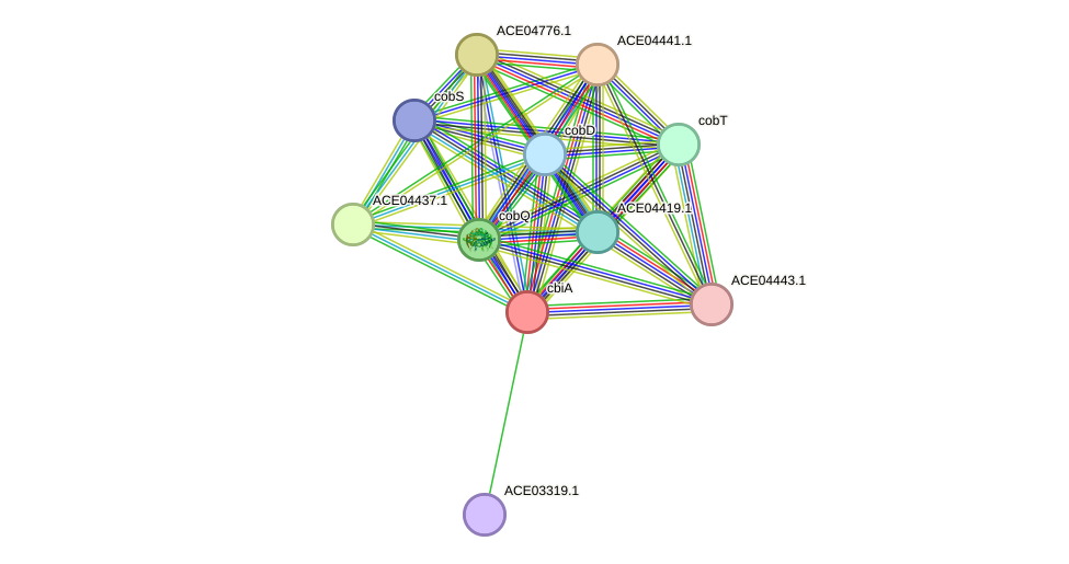 STRING protein interaction network