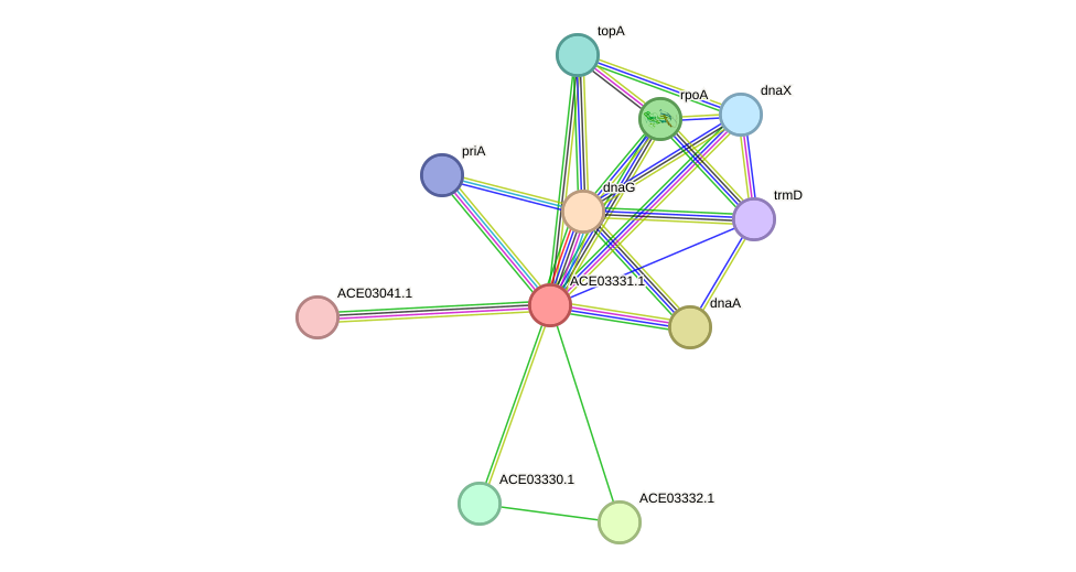 STRING protein interaction network