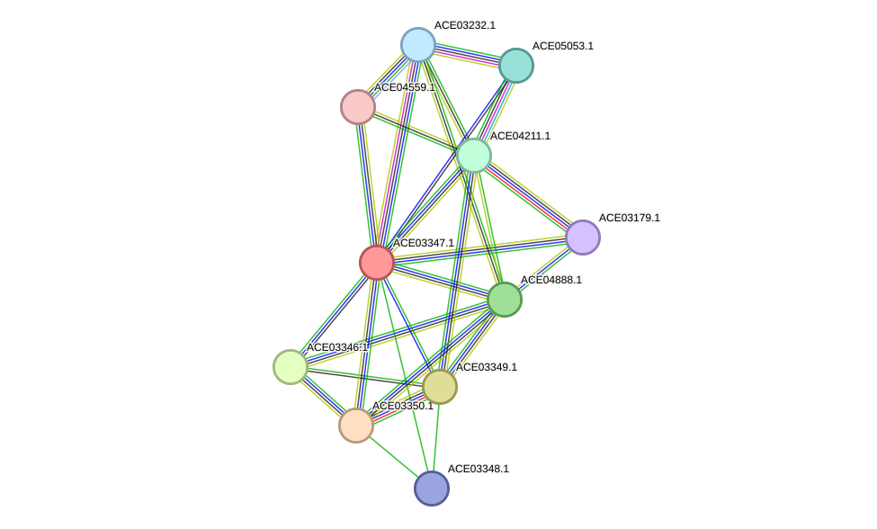 STRING protein interaction network