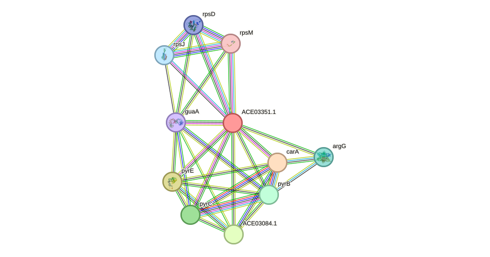 STRING protein interaction network