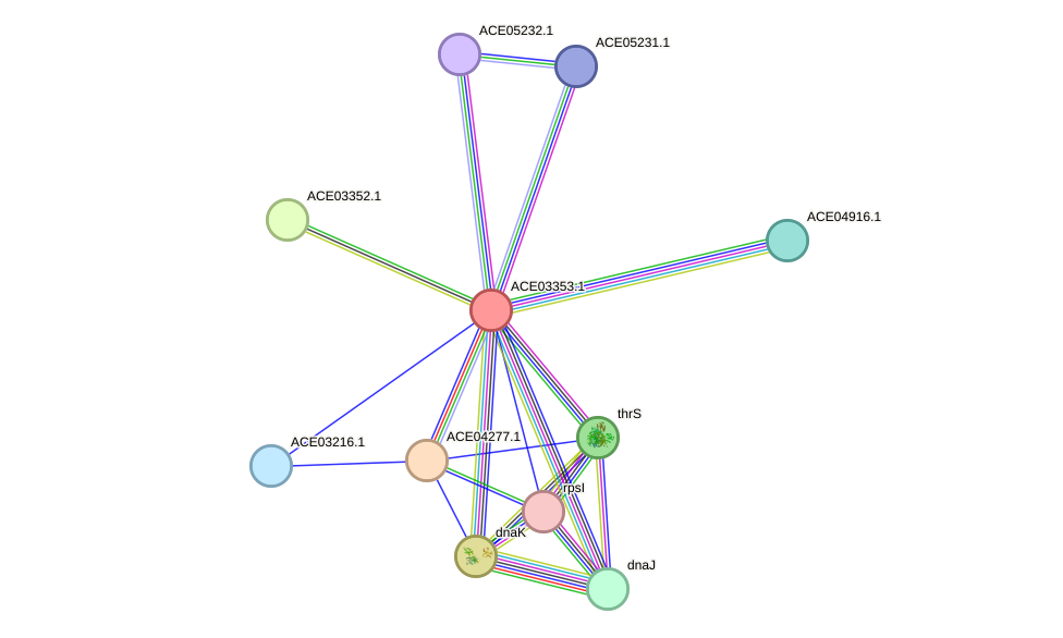 STRING protein interaction network