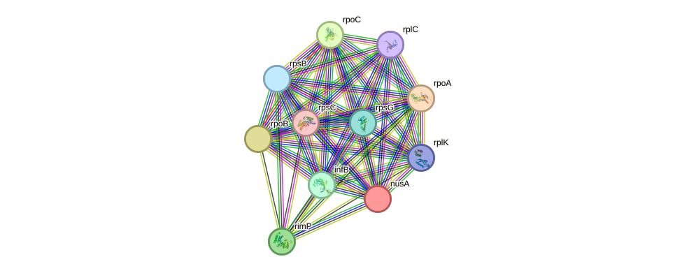 STRING protein interaction network