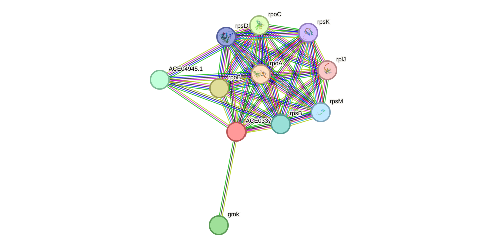 STRING protein interaction network