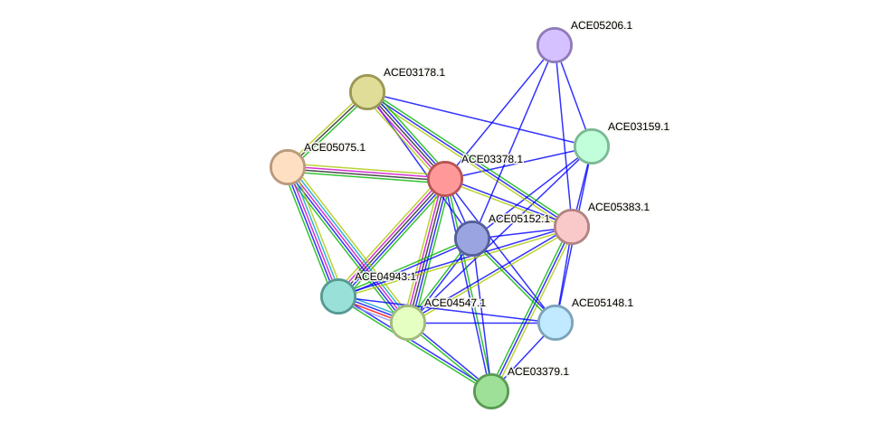 STRING protein interaction network