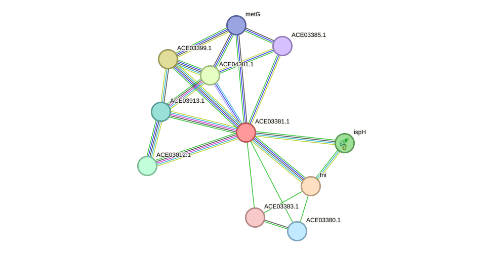 STRING protein interaction network