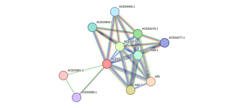 STRING protein interaction network