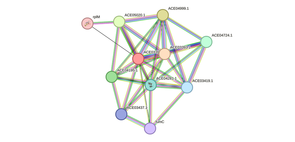 STRING protein interaction network