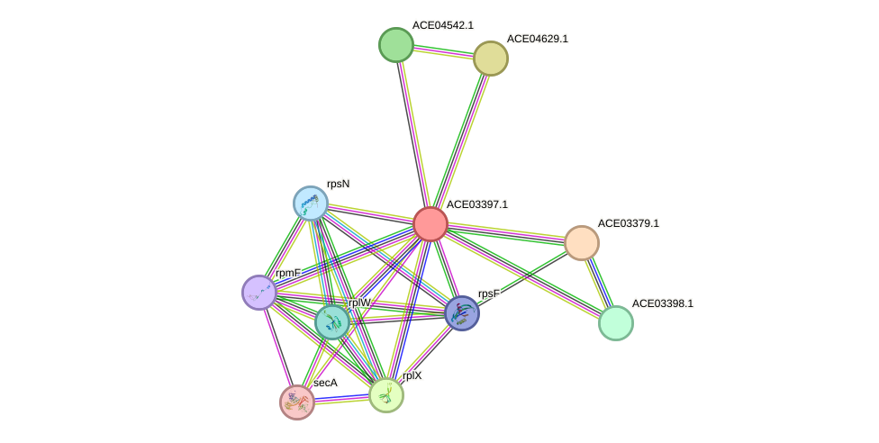 STRING protein interaction network