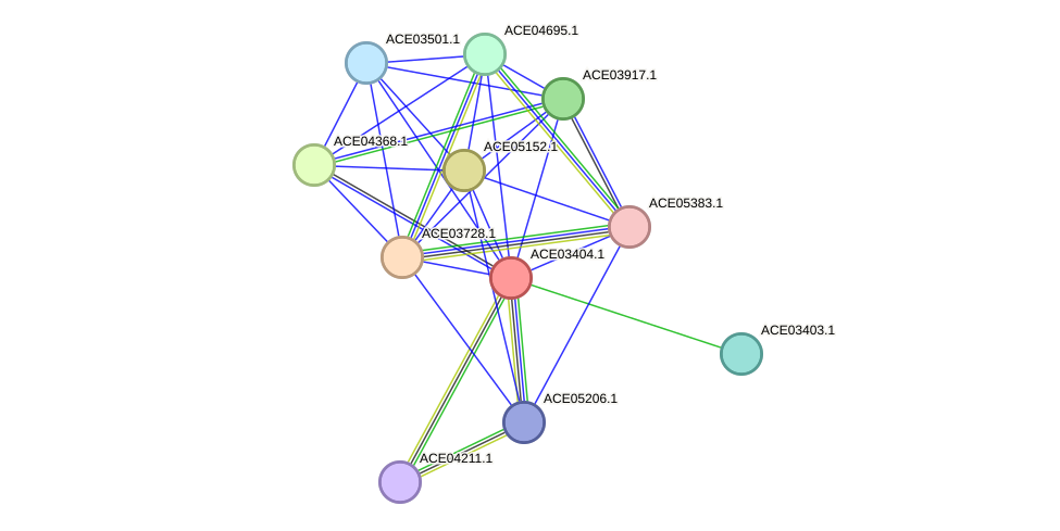 STRING protein interaction network
