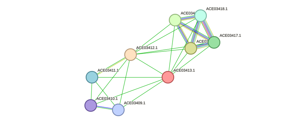 STRING protein interaction network