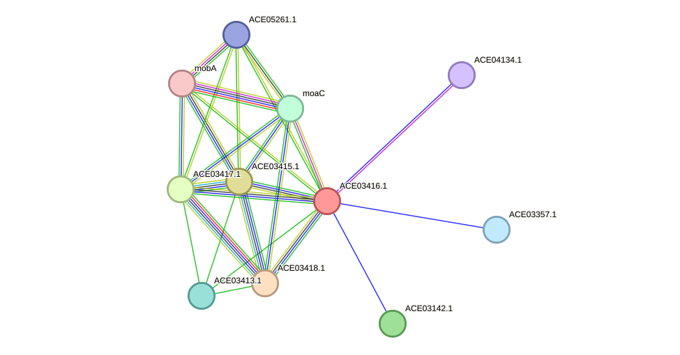 STRING protein interaction network