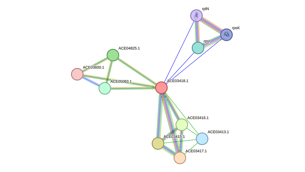STRING protein interaction network