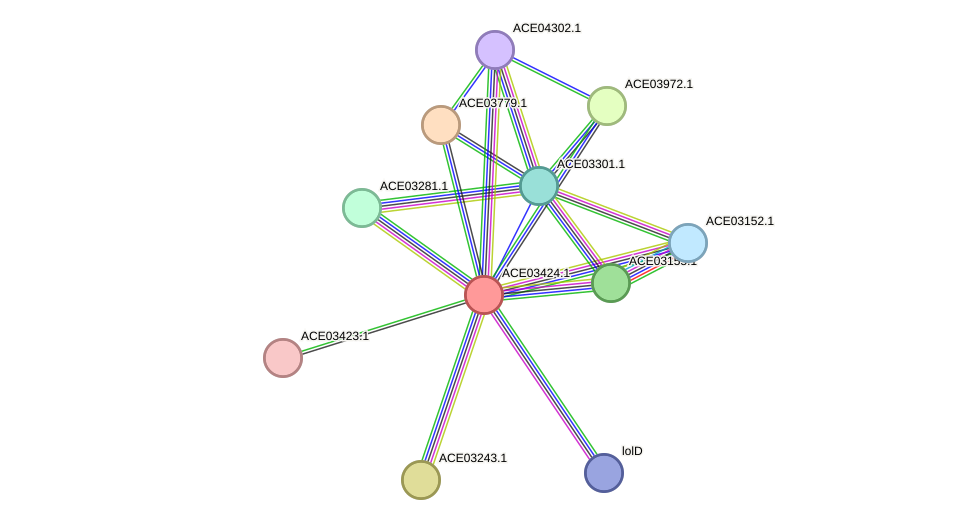STRING protein interaction network