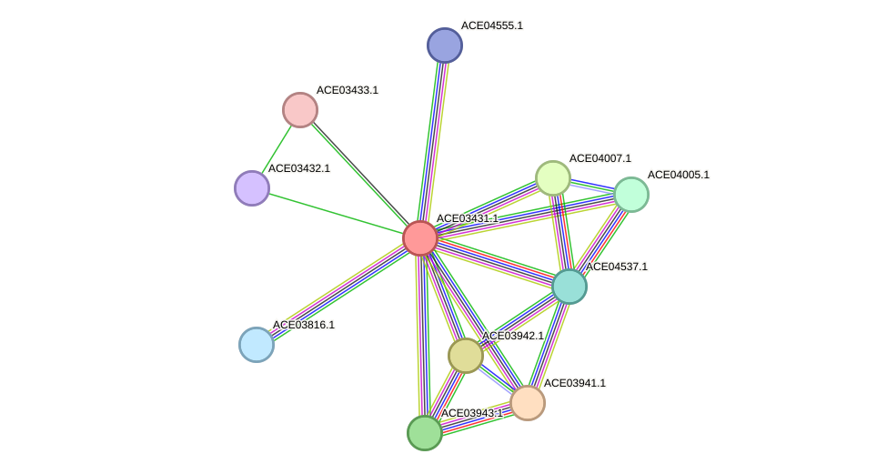 STRING protein interaction network