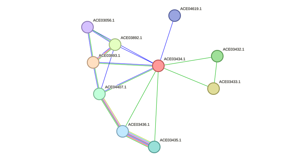 STRING protein interaction network