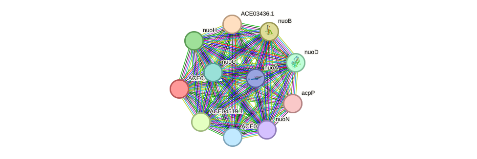 STRING protein interaction network