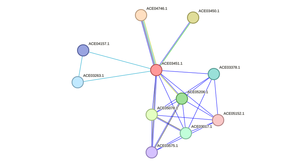 STRING protein interaction network