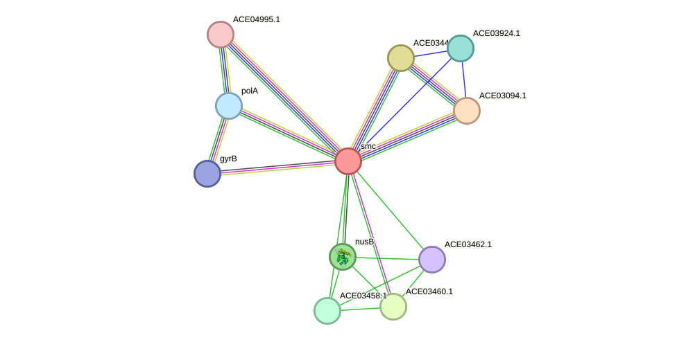 STRING protein interaction network