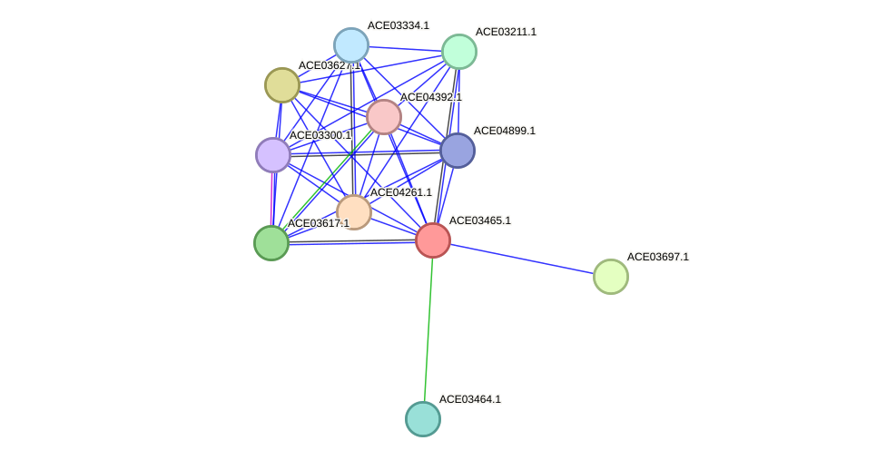STRING protein interaction network