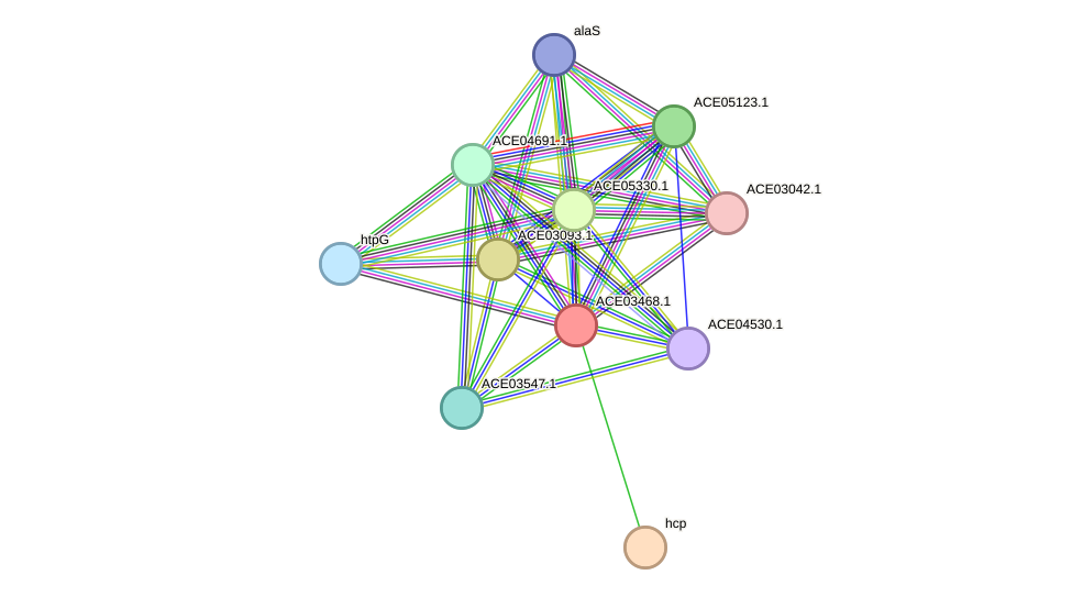 STRING protein interaction network