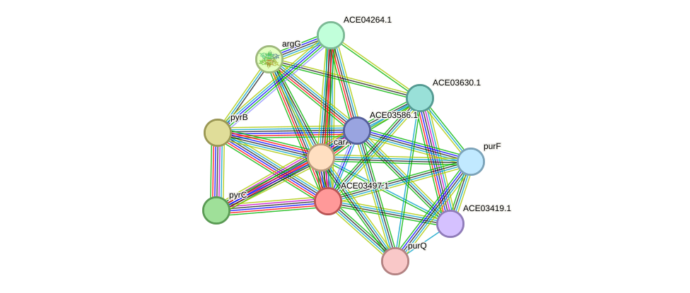 STRING protein interaction network