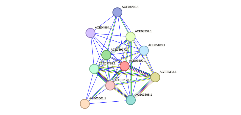 STRING protein interaction network