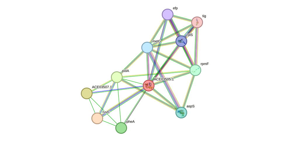 STRING protein interaction network