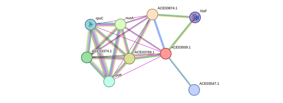 STRING protein interaction network