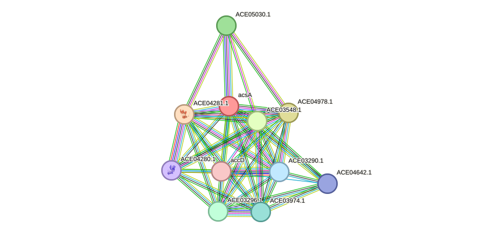 STRING protein interaction network