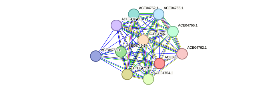 STRING protein interaction network