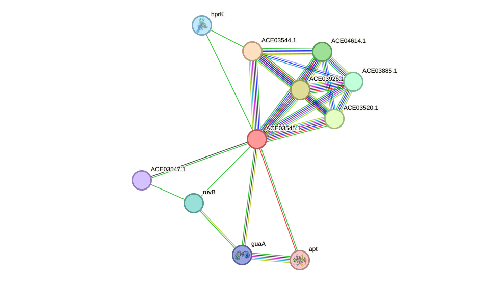 STRING protein interaction network