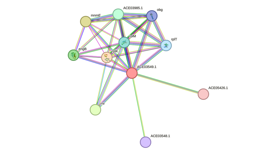 STRING protein interaction network