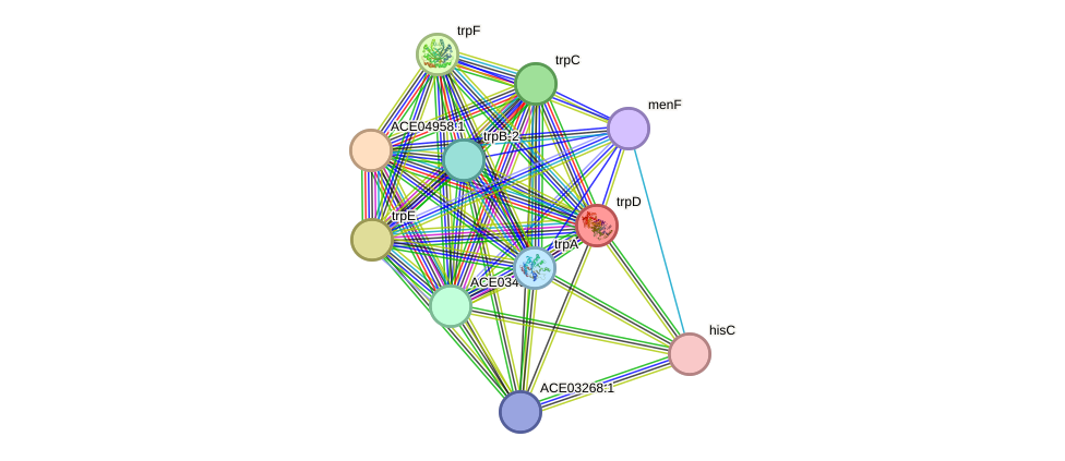 STRING protein interaction network