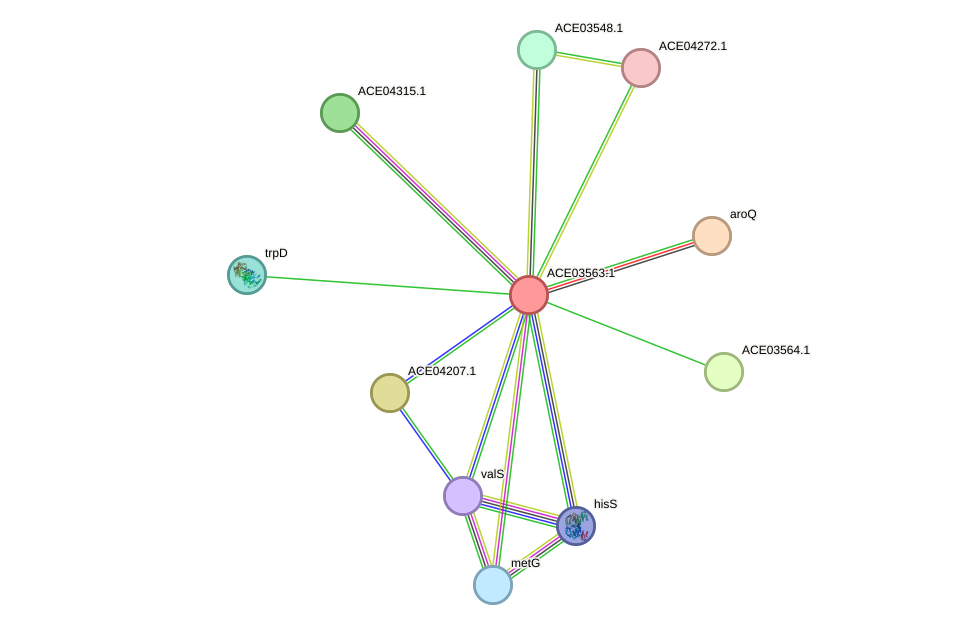 STRING protein interaction network