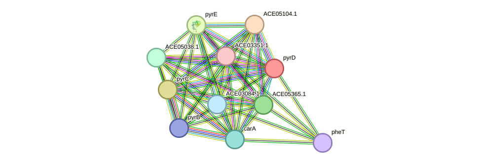 STRING protein interaction network