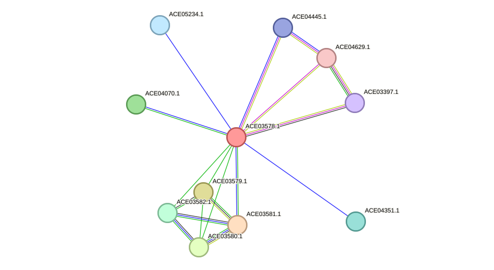 STRING protein interaction network