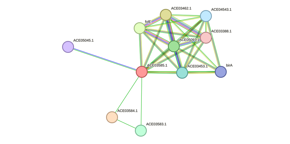STRING protein interaction network