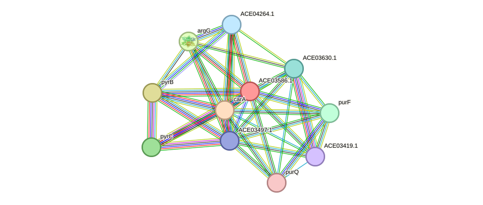 STRING protein interaction network